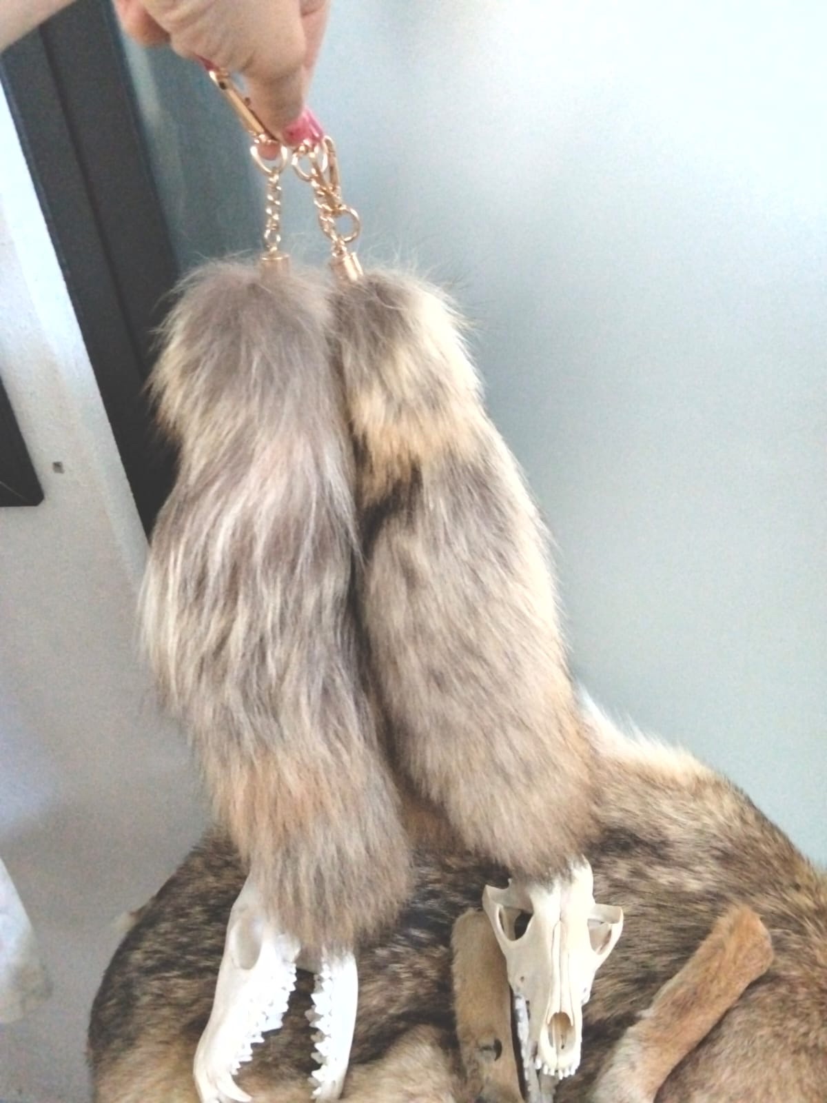 Colitas y piel completa COYOTL